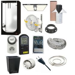 Pack Pro Calitek Quantum Bears 340